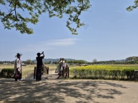 왕실 숲, 천 년의 그늘에서 놀다