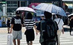 ‘태양을 피하는 방법’ 양산이 최고!