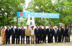 숲, 가장 오래된 기억에서 깨어나는 생명의 서사