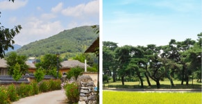회룡포·금당실마을·삼강주막··· 예천의 숨은 매력에 흠뻑!