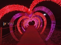 함께 있어 빛나는 우리, 송해공원서