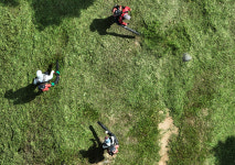 경주 월성 성벽 벌초