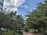 대구·경북 대체로 흐리고 0.1㎜ 미만 약한 비