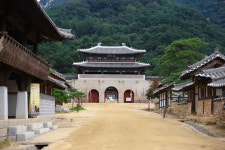 봉천사에서 문경새재까지… 천년의 길을 걷다