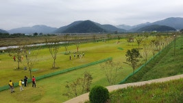 전국 파크골프 동호인 2천명 고령으로…‘대가야배 전국대회’ 개막
