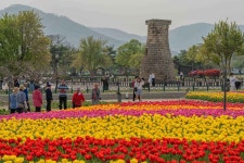 첨성대에서 황리단길까지… 고도(古都)가 다시 깨어나다