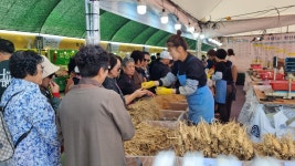 ‘풍기인삼축제’ 글로벌 시장 진출 위한 전초기지로!