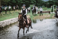 500여 선수 출전… 구미시장배 전국승마대회 31일 팡파르