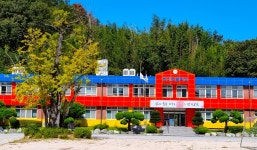 송시열 선생 유배지 은행나무와 장기초등학교