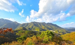 아름다운 만추, 대둔산 자연휴양림 숲길 걸어보세요