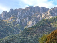아름다운 만추, 대둔산 자연휴양림 숲길 걸어보세요