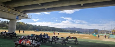 파크골프의 인기, 어디까지 이어질까