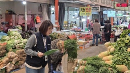 포항 전통시장 배춧값 작년 대비 500원 ↑·무는 700원 ↓