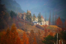 솔고개 소나무는 하늘과 땅 잇는 생명의 분수