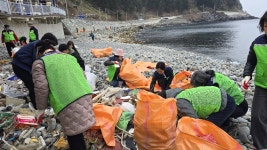 울릉 섬 새봄 단장 나선 민·관 합동 정비…자원봉사단체 플로킹도