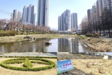 화원 천내천, 다시 초록빛으로 물든다⋯ 화원새마을회 ‘초록 쉼터’ 조성