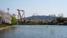 천년고도 경주, 보문단지 일대에 번지는 봄의 물결