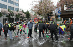 창원시 진해구, 군항제 정리 대청소