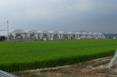 창원 농업기술센터, 온실 기둥 높이기 개선사업