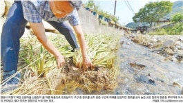 단단하고 견고한 땅, 태풍·폭우 끄떡없어