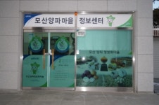 [창녕 양파가 있는 곳]경남창녕 모산양파정보화마을