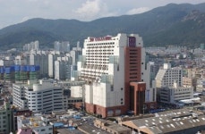 대우백화점 롯데에 매각…엇갈리는 반응