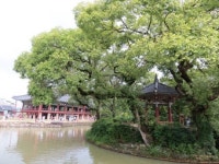 춘향이 없어도 남원 광한루 매력 충분하구나