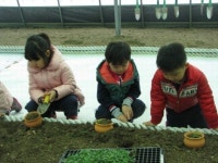 은어 잡고 콩타작 해보고 농어촌마을 체험 한 번에