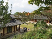가을엔 秋甲寺 옛말 틀린 것 하나도 없네