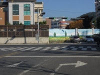 날아가야 하나? 마산삼진고 앞 이상한 신호체계