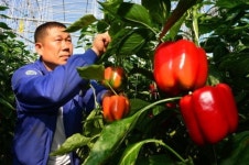 친환경 초심, 내 얼굴 걸고 지켜갑니다