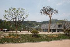 대장경테마파크 빛내는 조경수 눈길