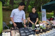 공예품도 돼? 커피 찌꺼기 무한변신