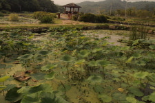 천년의 인고 간직한, 어머니의 품 같은
