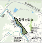 천년의 인고 간직한, 어머니의 품 같은