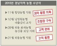 추락한 농협 신뢰 협동조합 정신 되살려야 회복