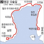 그 나무에게 묻는다 500년 전 앵강만은 어땠냐고