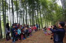 쑥쑥 대나무에 깜짝 푹푹 갯벌에 활짝