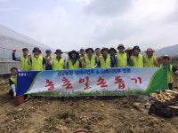 경남농협·농협김해지부 감자 농가 수확