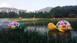 어, 창원 용지호수에 거북이가!