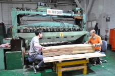 나무 같은 뚝심으로 100년간 한 우물