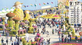 국화도 사람도 활짝