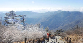 [경남의 산] (1) 지리산…어머니 같은, 그리하여 사람도 품은