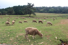 [그 장소 그 후]남해 양모리 학교