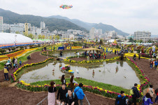 어시장 상인 창원 국화축제 진동 개최 반대