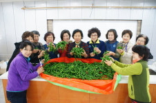 밀양시농업기술센터 고추 소비촉진 행사