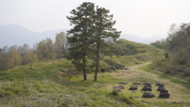 700년, 이 작은 씨앗 품은 생명의 어머니