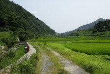 [책]통영에서 서울까지 옛길 걷고 기록하다 <통영로>