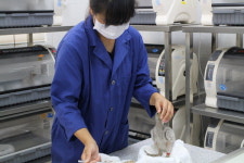 6월, 우포 따오기 다시 만나요