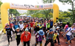 더 큰 민주주의 향한 걸음